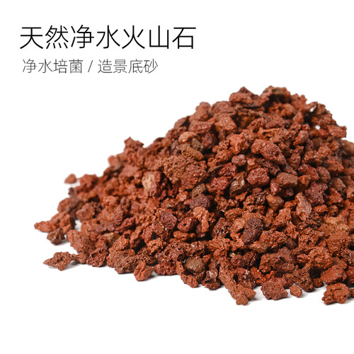 【养鱼推荐】：净水培菌火山石