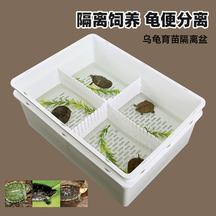 乌龟饲养缸发色隔离盒家用养龟专用缸沉淀板龟便分离育苗盒龟盆