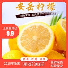 9.9元包邮 田园概念 四川安岳黄柠檬 6斤