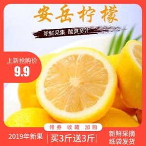 9.9元包邮 田园概念 四川安岳黄柠檬 6斤