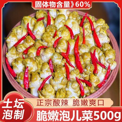 正宗新鲜脆嫩特产泡菜饭菜泡儿菜开胃酸辣四川腌制脆爽老坛下饭