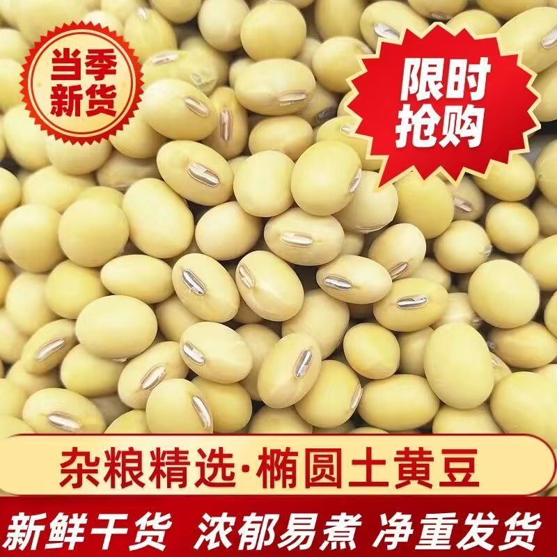 农家土黄豆椭圆形老品种黄豆非转基因土黄豆打豆浆豆腐煲汤批发