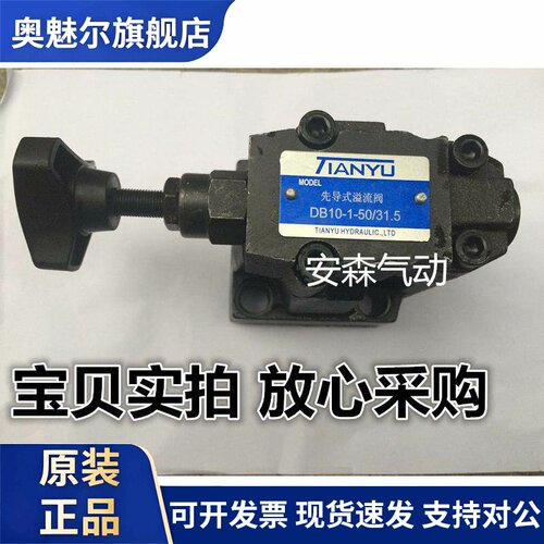天谕 先导式溢流阀 DB10-1-50/100 液压阀 优惠价 10MPA