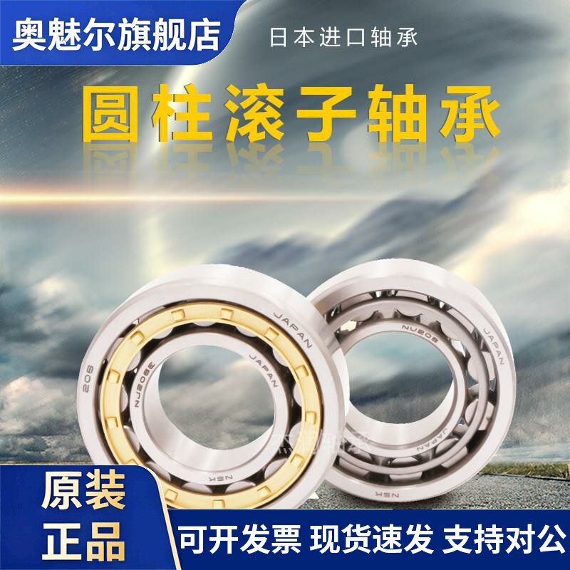 进口NSK圆柱滚子轴承 NU203 204 205 206 207 208 209 EW EM