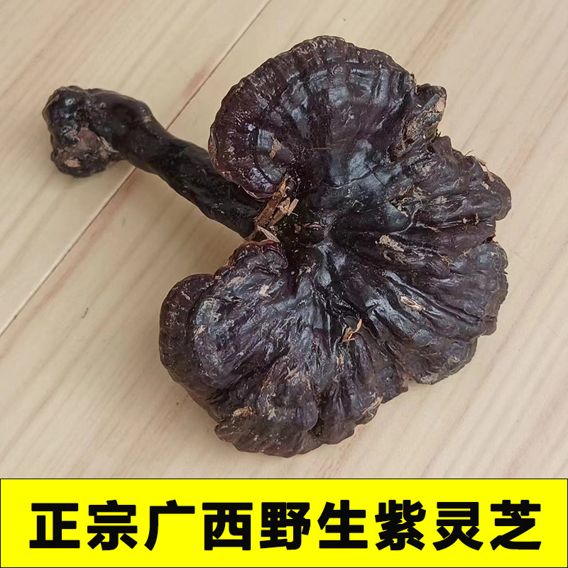 正宗广西纯野生紫灵芝黑灵芝正品整枝林芝干货灵芝250g可切片磨粉