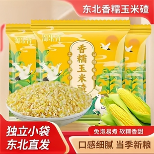 正宗东北香糯玉米碴子当季新鲜粗粮脱皮粘苞米碴子玉米糁早餐稀饭