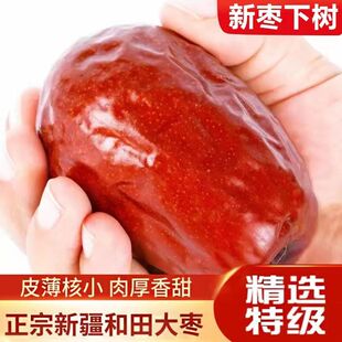 新疆红枣和田大枣特级免洗即食特大红枣一级熬粥红枣特级新疆特产