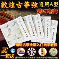 Chuỗi dây Guzheng Một loại phụ kiện nhạc cụ phổ quát tiêu chuẩn 1-10 bộ dây guzheng đầy đủ 1-21 bộ - Phụ kiện nhạc cụ dây đeo đàn