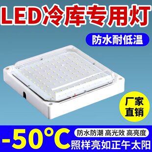 LED冷库专用灯防潮灯防爆三防灯20W浴室卫生间防水冻库冰库专用灯