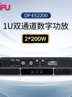 戴浦（DAIPU）国产化会议音频系统扩声设备/立体声功放