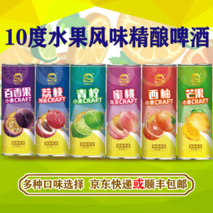 6种果味精酿啤酒10度百香果精酿青柠荔枝蜜桃西瓜水果味1升 6大罐