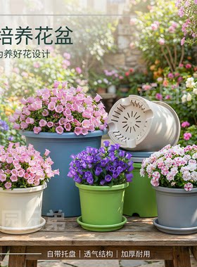 花盆家用塑料加厚阳台盆景多肉控根盆绿萝专用四季加仑盆月季草莓