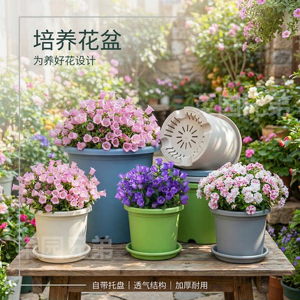 花盆家用塑料加厚阳台盆景多肉控根盆绿萝专用四季加仑盆月季草莓