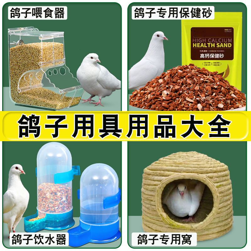 鸽子用具用品大全饮水器喂食器