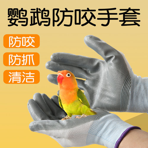 鹦鹉防咬手套加厚耐咬防抓伤