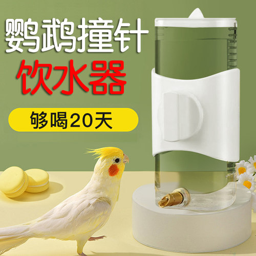 鹦鹉撞针式饮水器水壶喝水神器