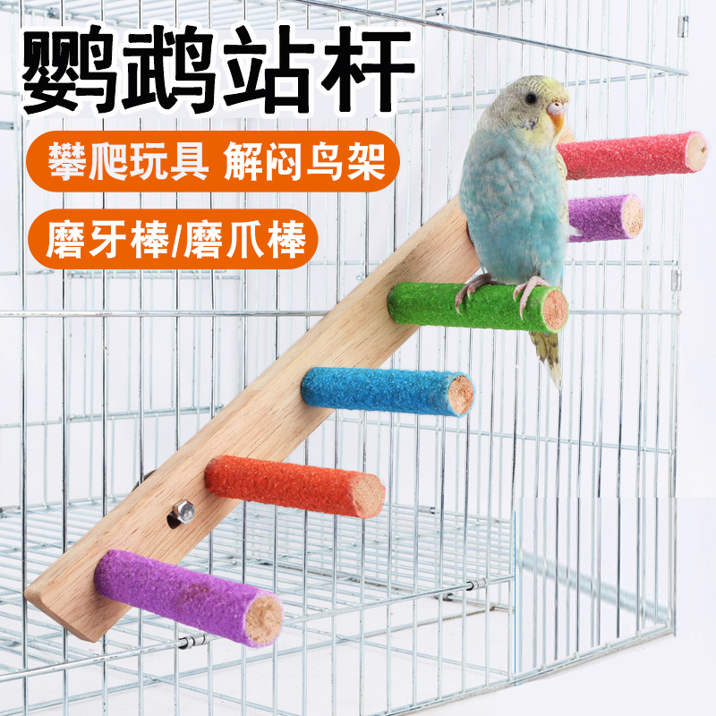 鹦鹉站杆磨砂爬梯玩具解闷自嗨