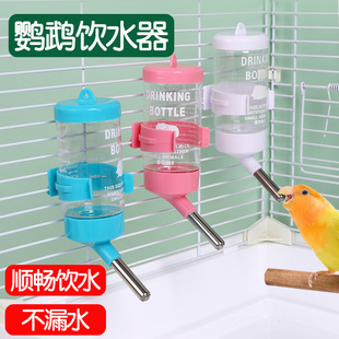 挂式 鹦鹉饮水器自动喂水小鸟用水壶喝水专用新款 滚珠鸟笼用品大全