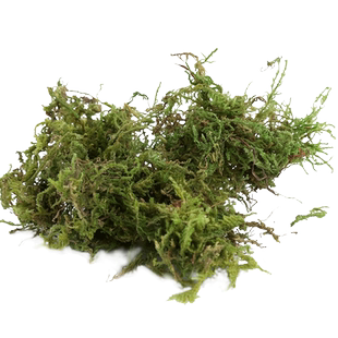 金丝熊仓鼠造景用品干苔藓笼子造景房子窝筑巢挖掘花草除臭垫料