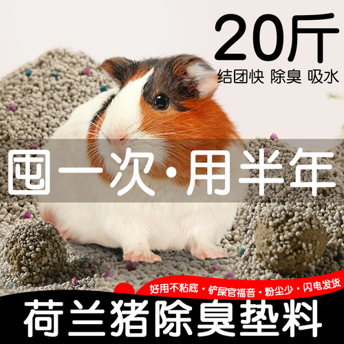 豚鼠荷兰猪除臭垫料用品大全尿砂