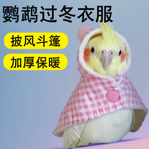 鹦鹉过冬衣服保暖专用披风斗篷