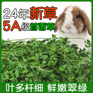 饲料烘干牧草荷兰猪专用苜宿草料 兔子粮草苜蓿草全叶紫花豚鼠吃