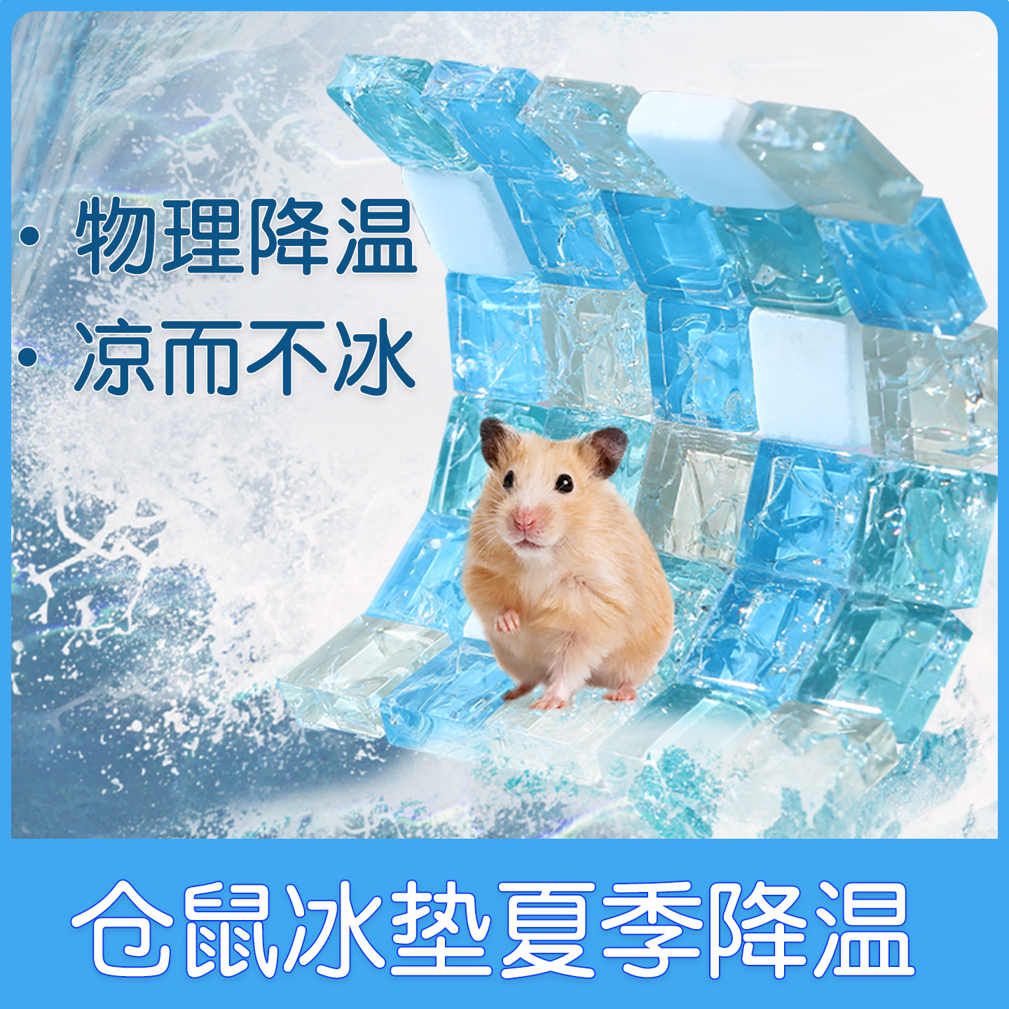 仓鼠冰垫夏天专用降温板清凉一夏
