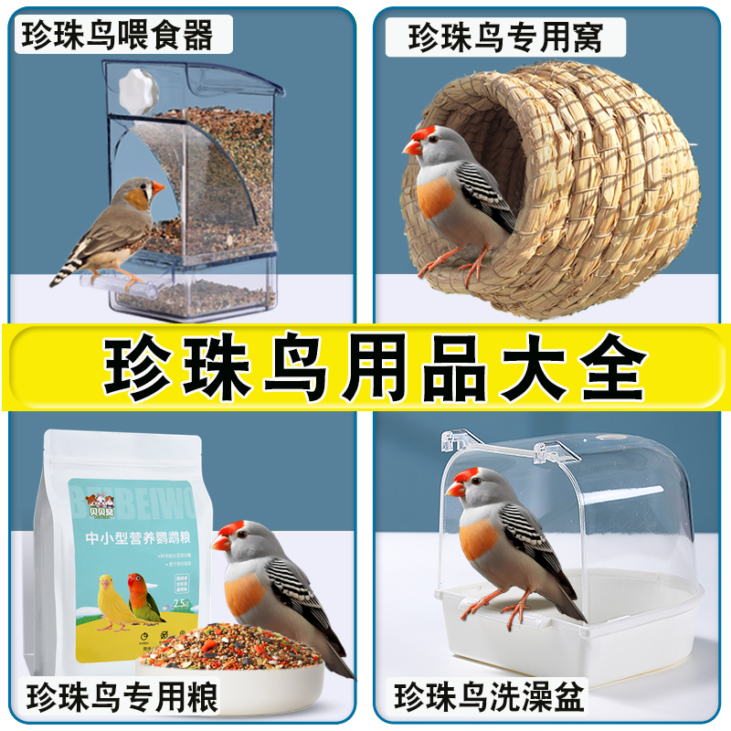 珍珠鸟用品大全自动喂食器鸟窝