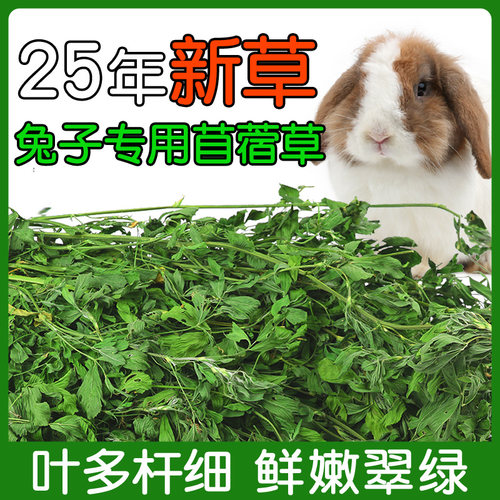 烘干紫花苜蓿草豚鼠兔子专用草料