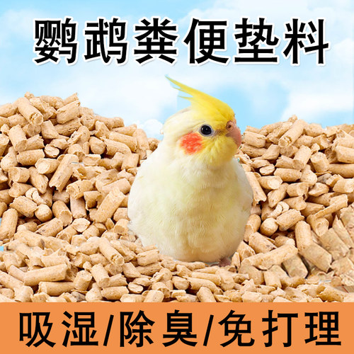 鹦鹉粪便垫料鸟屎砂除臭专用
