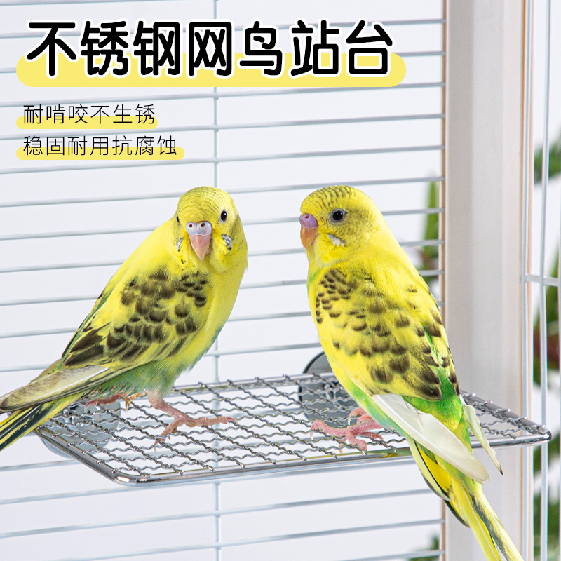 鹦鹉定点排便站架不锈钢站台鸟架