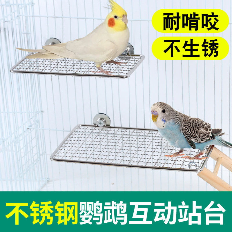 鹦鹉互动平台鹦鹉站杆花椒木鸟笼图片