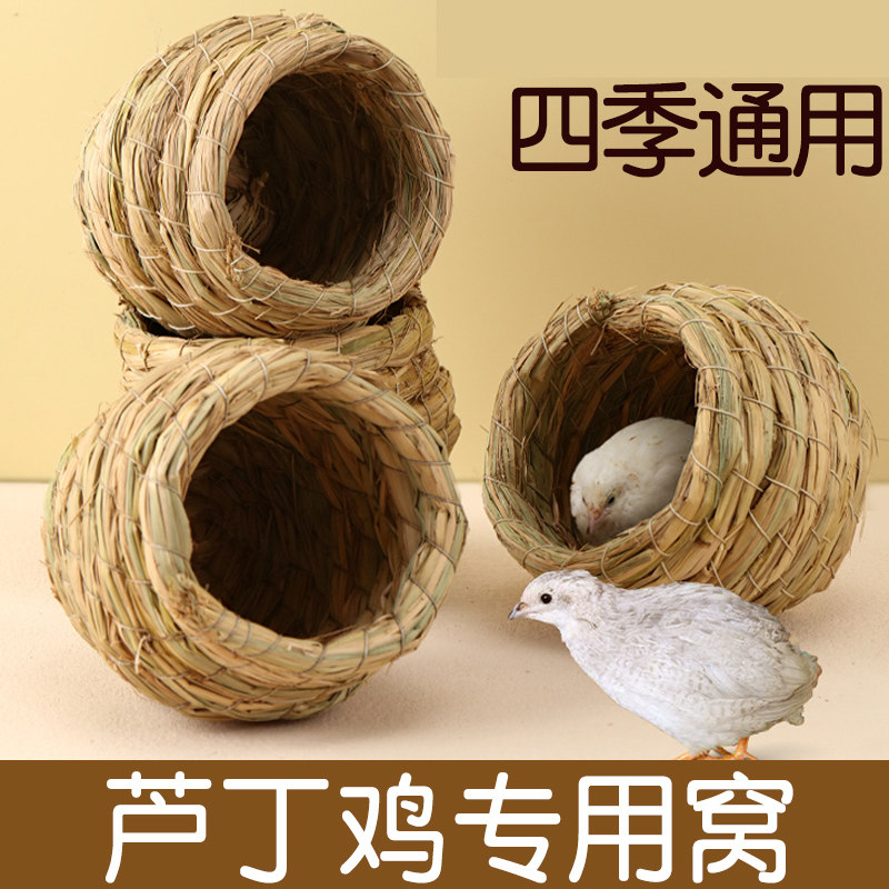 芦丁鸡草窝下单窝鹦鹉专用鸟窝
