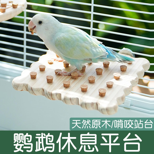 鹦鹉休息平台睡觉站台原木跳台