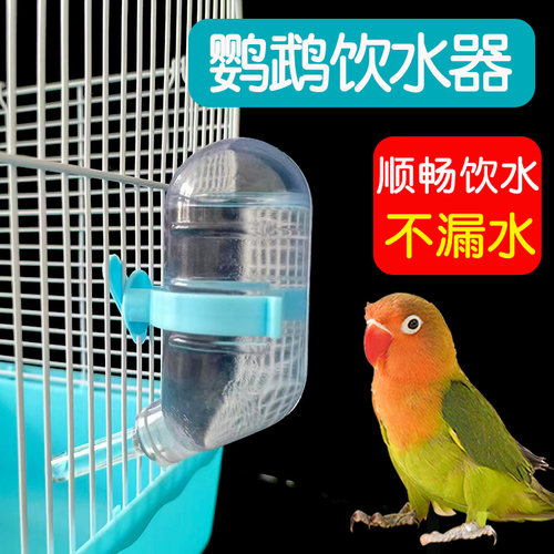 鹦鹉饮水器自动喂水器真空不漏水