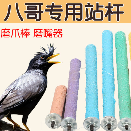 八哥专用站杆磨砂花椒木