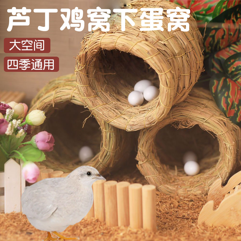 芦丁鸡窝下蛋窝小屋造景幼鸡用品全套鹌鹑睡窝夏天四季通用草窝