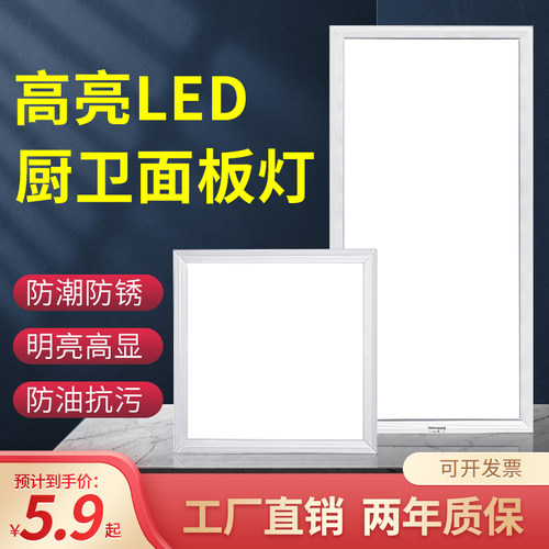 金雨莱集成吊顶灯具特价买一送一
