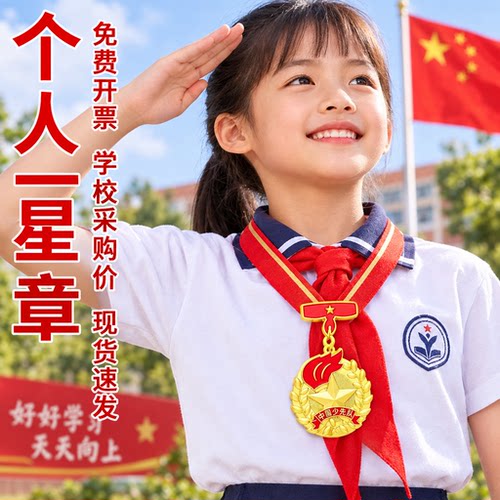一星章二星个人红领巾奖章集体章