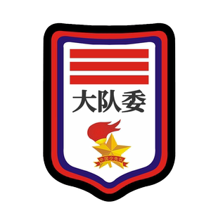 中队长二道杠少先队干部大队长三道杠刺绣小学生班干部臂章队委中队委小队委大队委班长袖章小队长标志一道杠