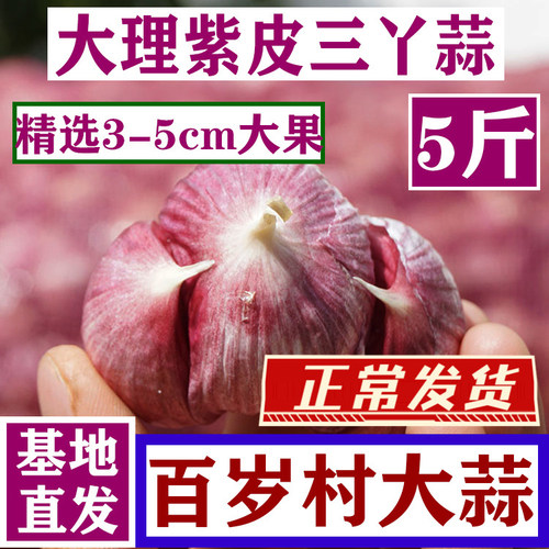 云南紫皮蒜干蒜三瓣蒜便宜实惠