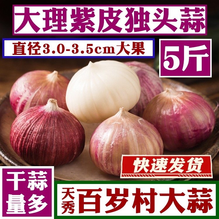 云南独头蒜5斤干蒜回头客5万+