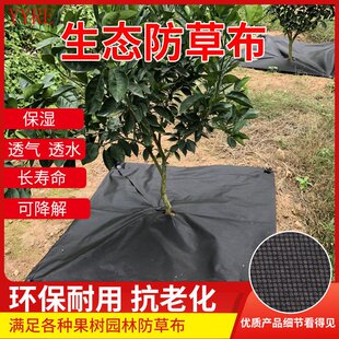 单张无纺布耐用防草布果园除草布新型地布果树农用生态地膜裁片