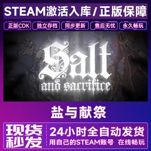 Steam 盐与献祭 盐与避难所 国区全球区 激活码CDK入库全DLC 永久