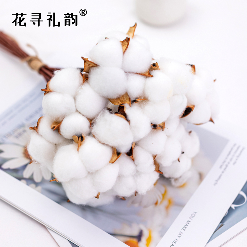 花寻礼韵纯天然真棉花鲜花包装干花花束装饰礼盒花艺花店diy材料