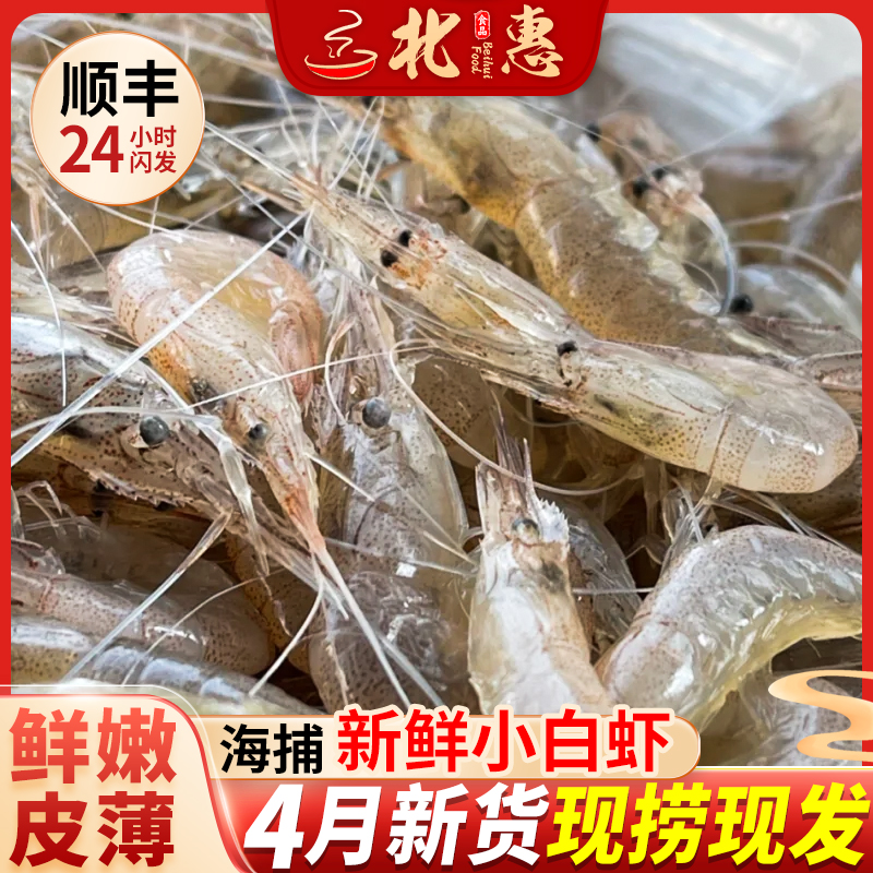 小海虾超实惠！顺丰2斤鲜活速冻