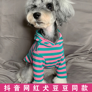 小狗狗薄款 可爱小型犬春夏装 泰迪两脚衣服宠物比熊雪纳瑞博美夏季