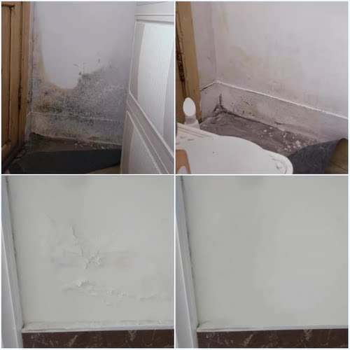 墙面反碱除碱剂墙体泛碱起碱消碱剂防碱剂补墙膏水泥墙返碱抗碱剂