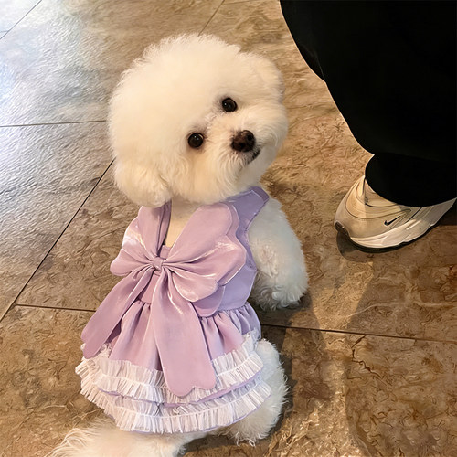 狗狗夏天薄款衣服春季小型犬春夏比熊户外公主风蝴蝶结网纱裙博美