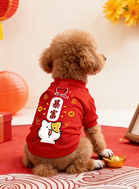 狗狗新年衣服泰迪冬天厚款红色过年喜庆防掉毛可牵引棉衣拜年冬装